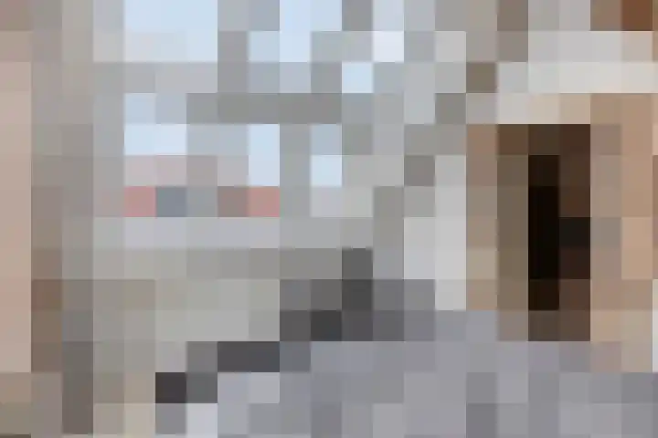 Jacob Catsstraat 76 Dordrecht thumbnail 18