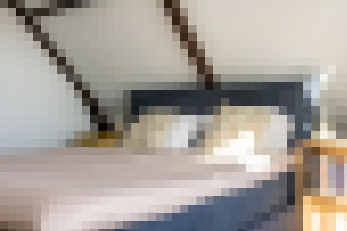 Jacob Catsstraat 76 Rotterdam thumbnail 19