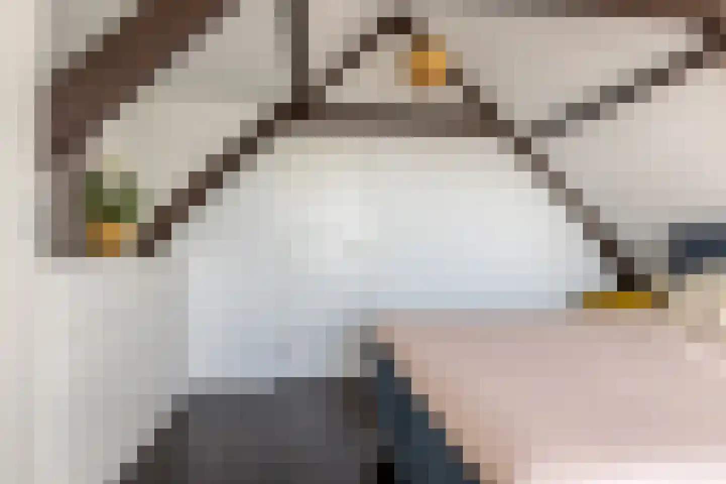 Jacob Catsstraat 76 Rotterdam thumbnail 20