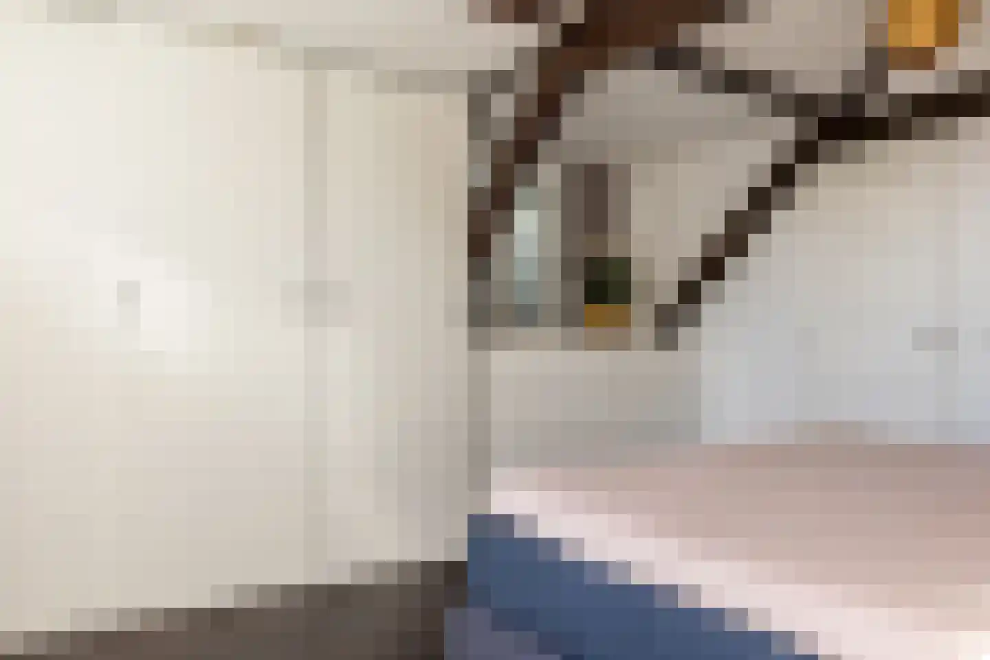 Jacob Catsstraat 76 Rotterdam thumbnail 21