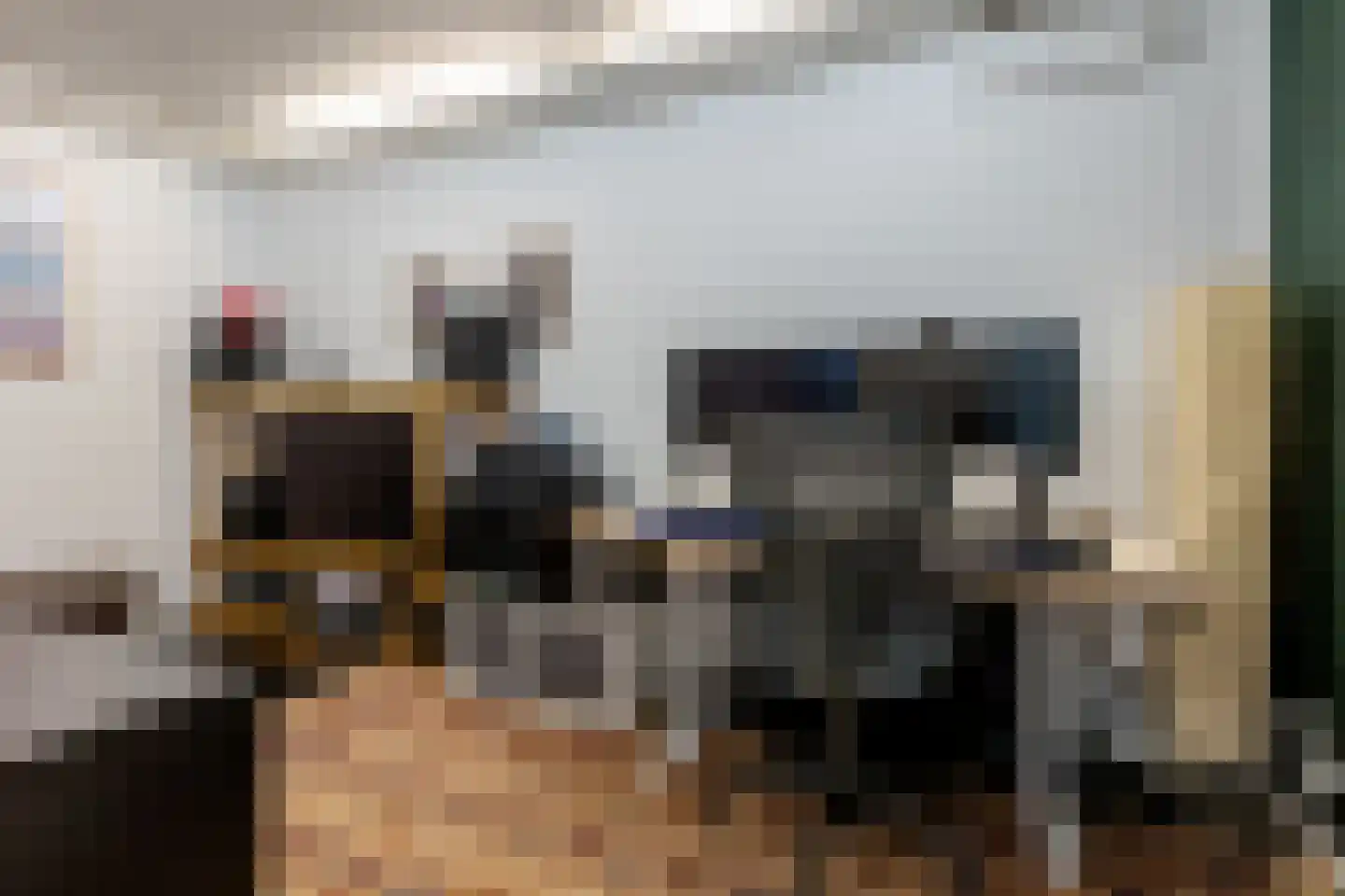 Jacob Catsstraat 76 Rotterdam thumbnail 32