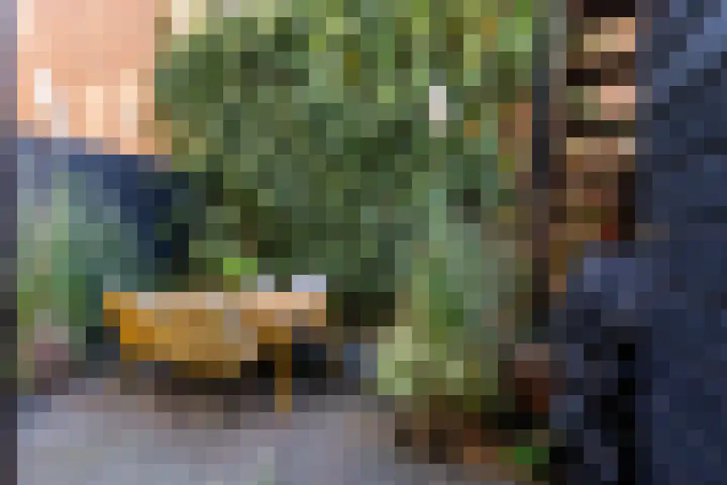 Jacob Catsstraat 76 Rotterdam thumbnail 35