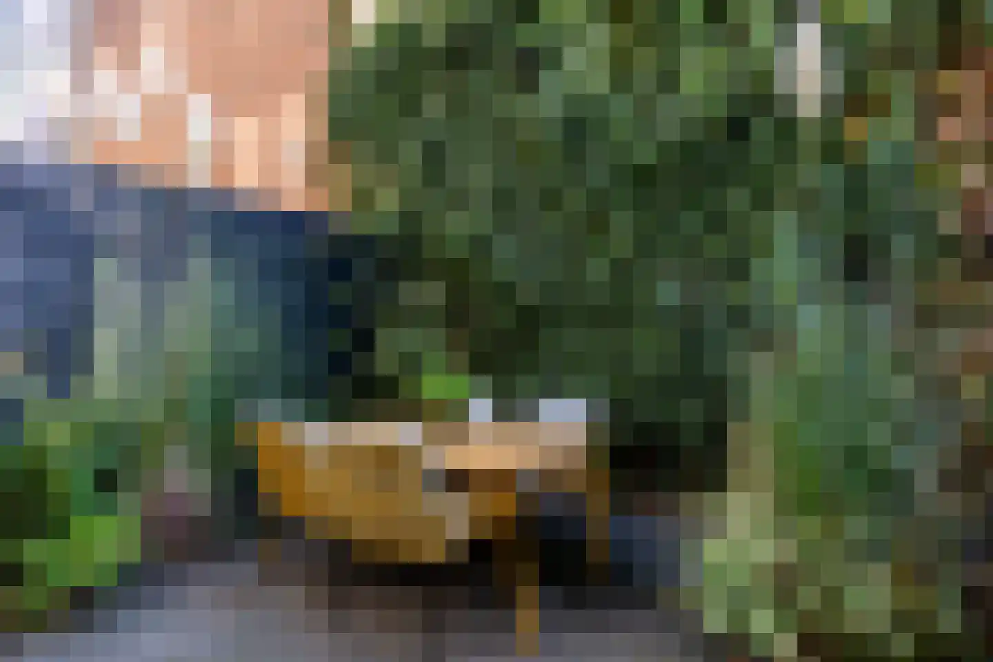 Jacob Catsstraat 76 Rotterdam thumbnail 6
