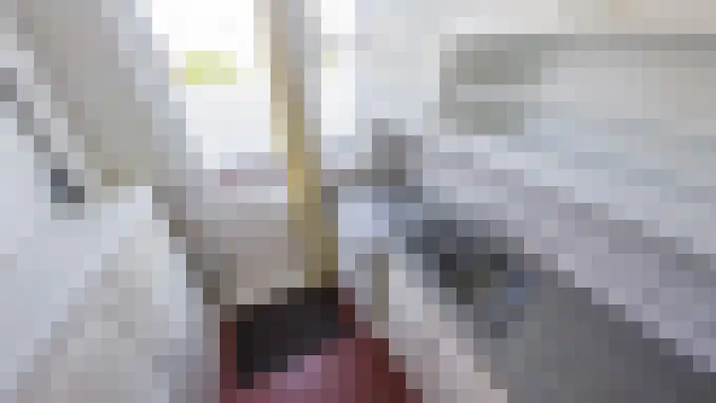 Jacob Catsstraat 78 Voorburg thumbnail 19