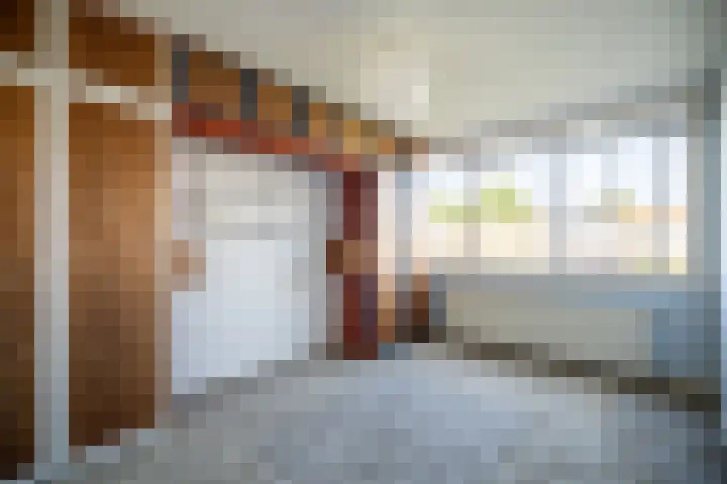 Jacob Catsstraat 78 Voorburg thumbnail 29