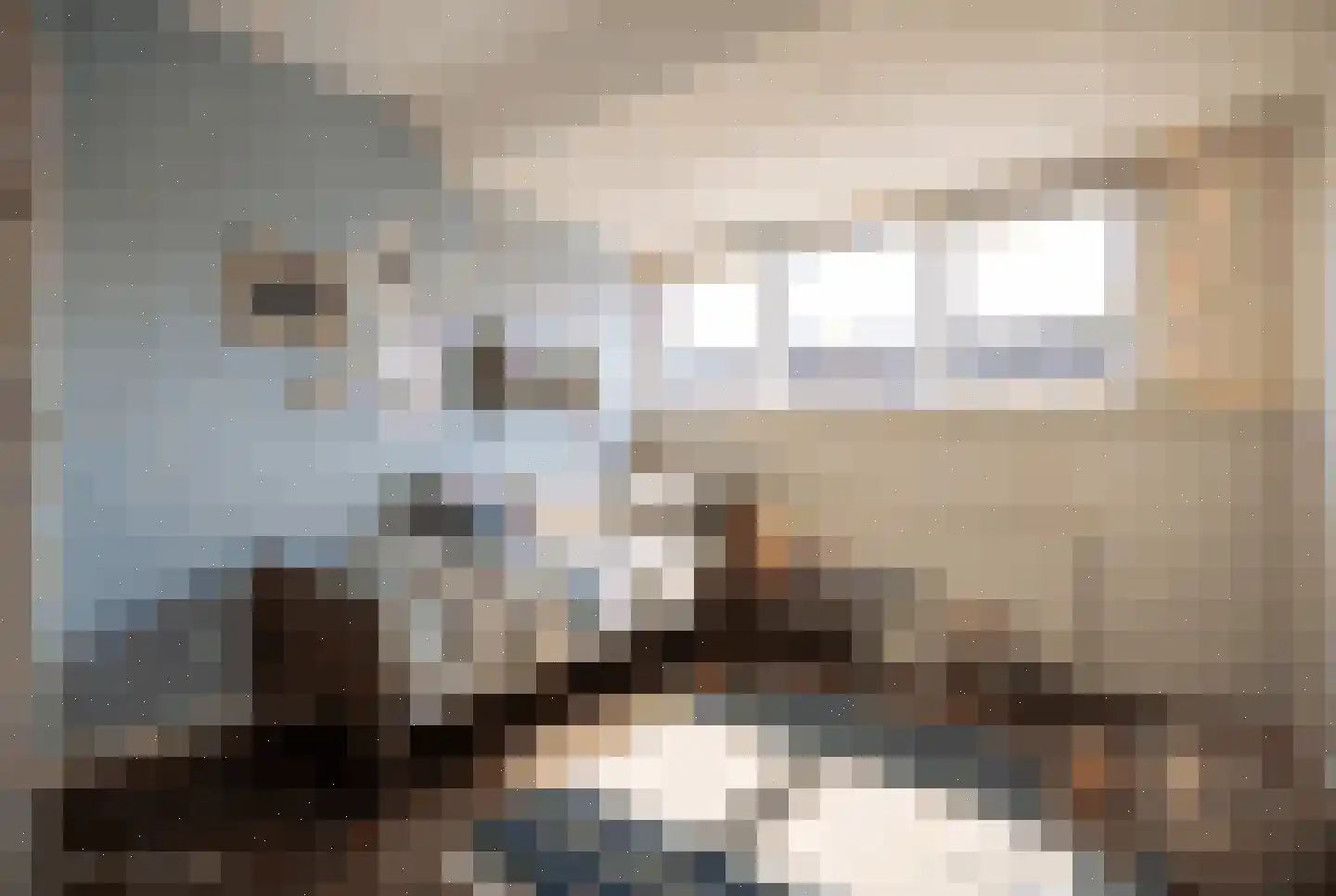 Jacob Catsstraat 78 Voorburg thumbnail 35
