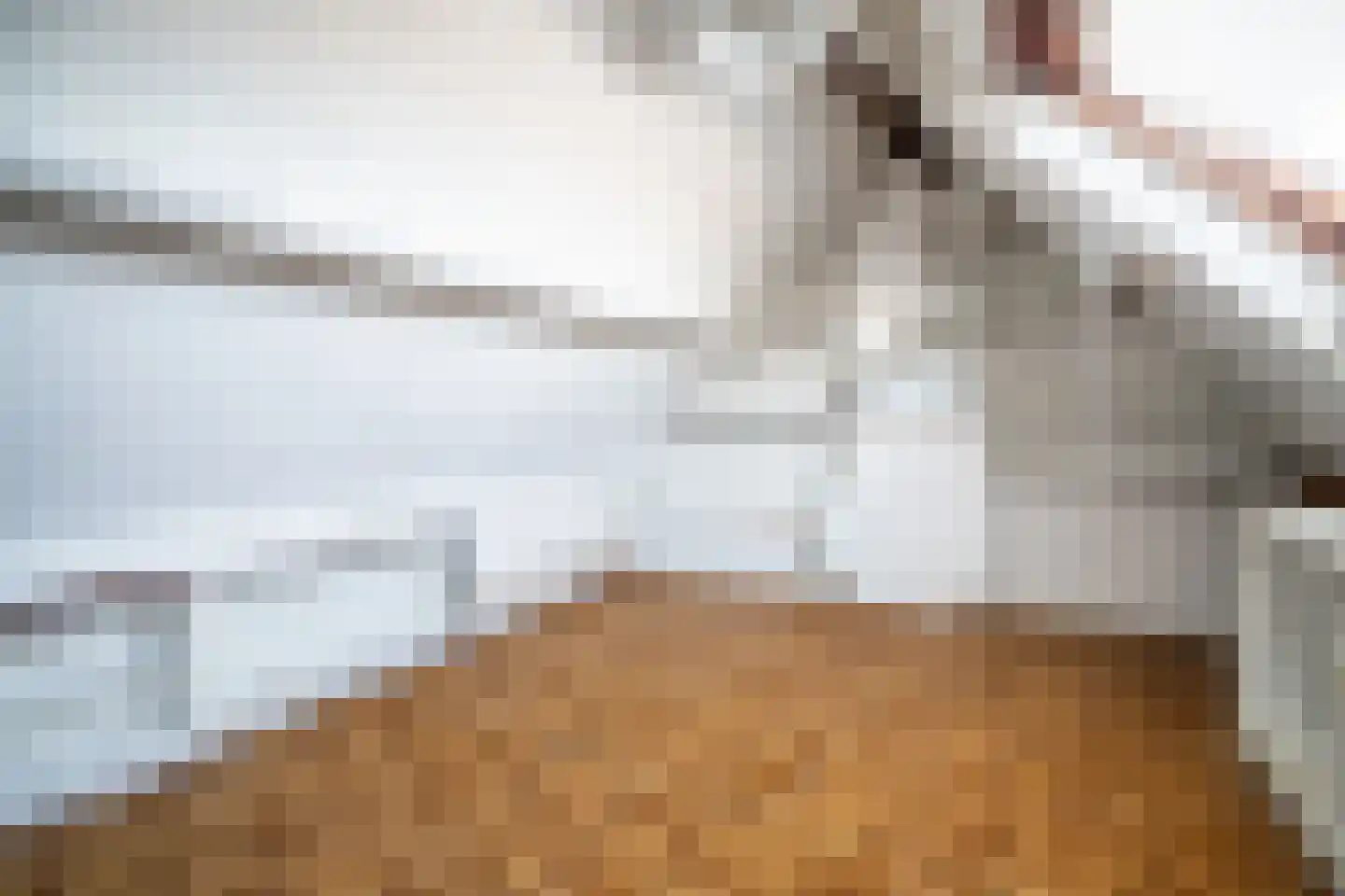Jacob Catsstraat 78 Voorburg thumbnail 42