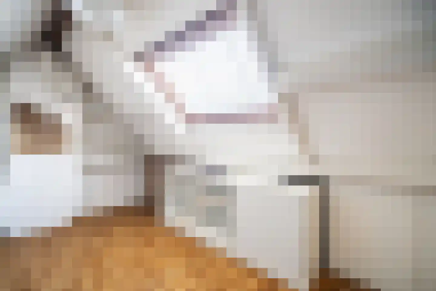 Jacob Catsstraat 78 Voorburg thumbnail 43