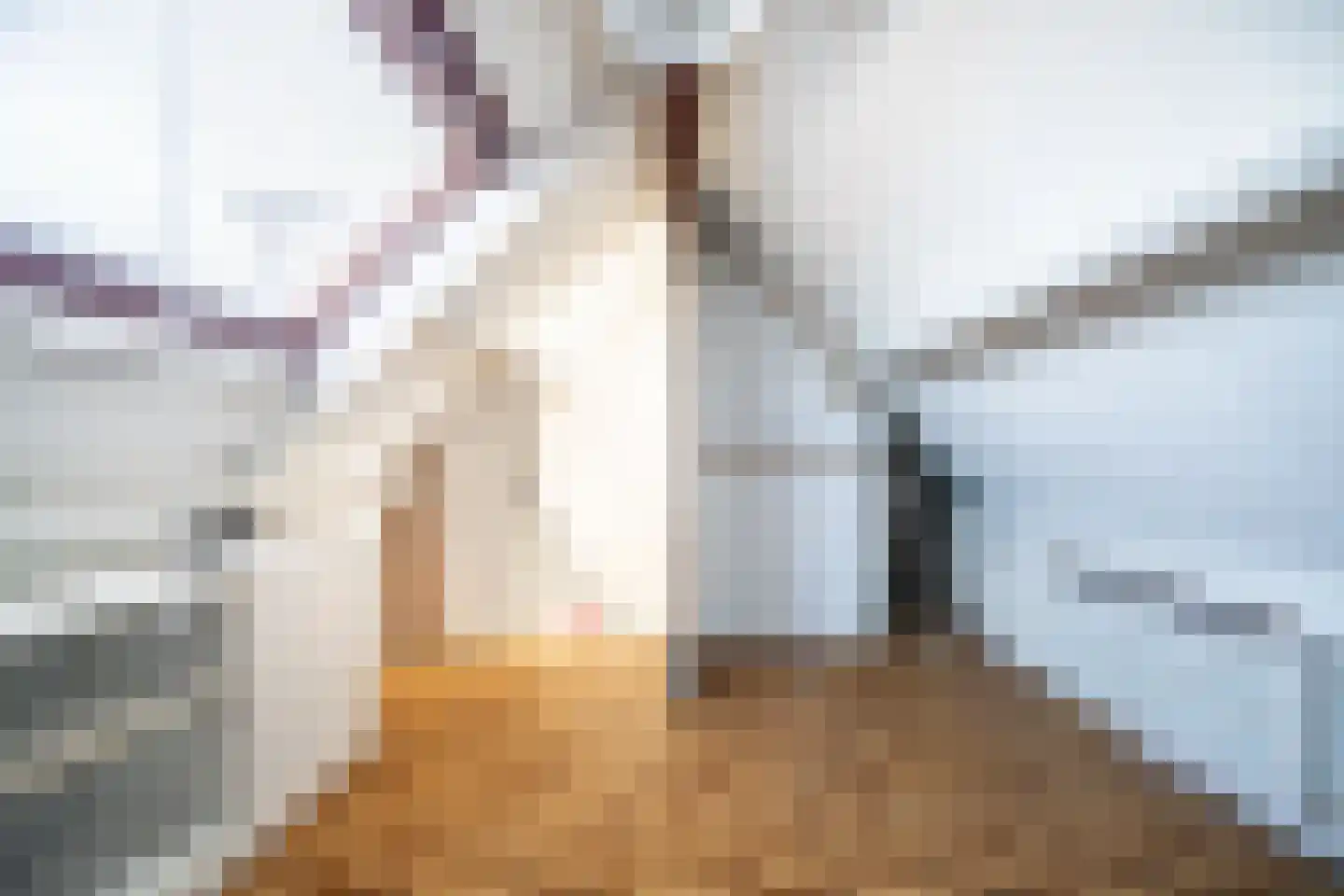 Jacob Catsstraat 78 Voorburg thumbnail 44