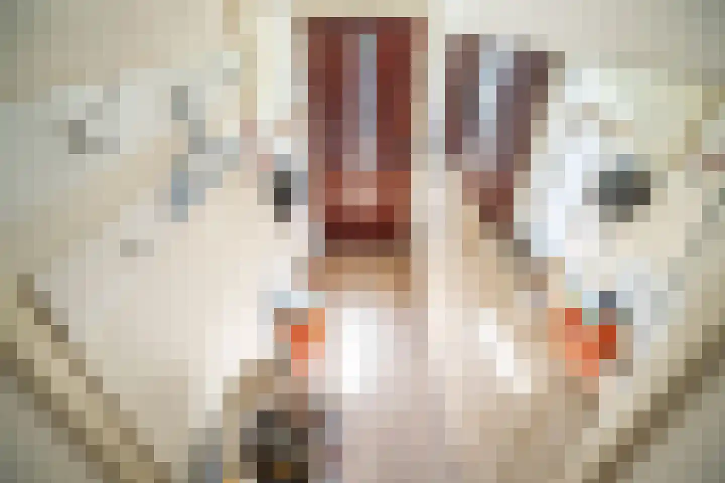 Jacob Catsstraat 78 Voorburg thumbnail 46