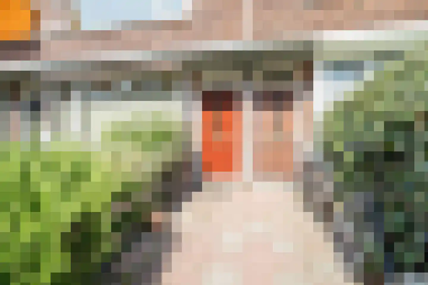 Jacob Catsstraat 78 Voorburg thumbnail 48