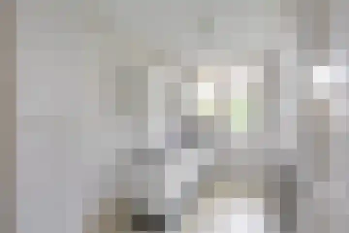 Jacob Catsstraat 79 Groningen thumbnail 17