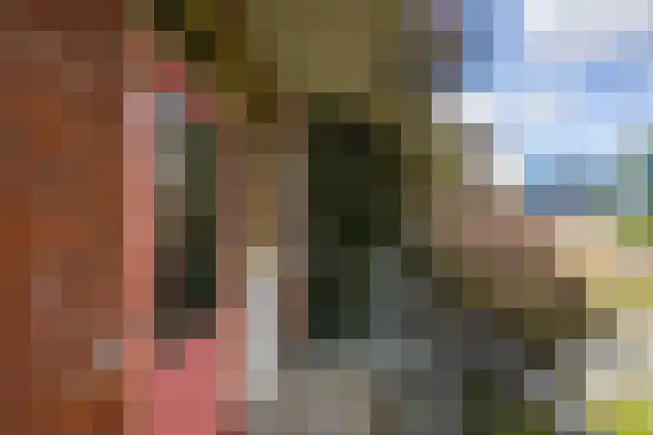 Jacob Catsstraat 79 Groningen thumbnail 28