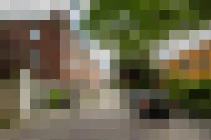 Jacob Catsstraat 79 Groningen thumbnail 7