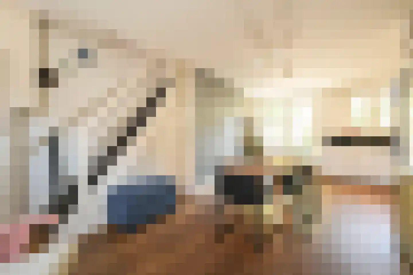 Jacob Catsstraat 8 Den Haag thumbnail 12