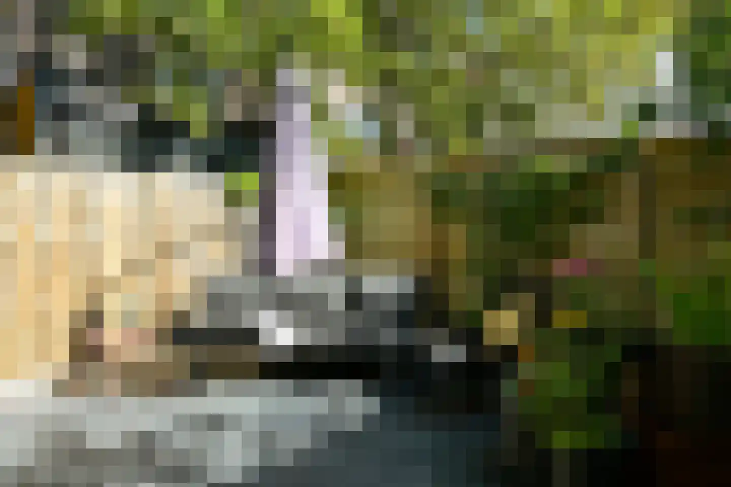 Jacob Catsstraat 8 Den Haag thumbnail 22