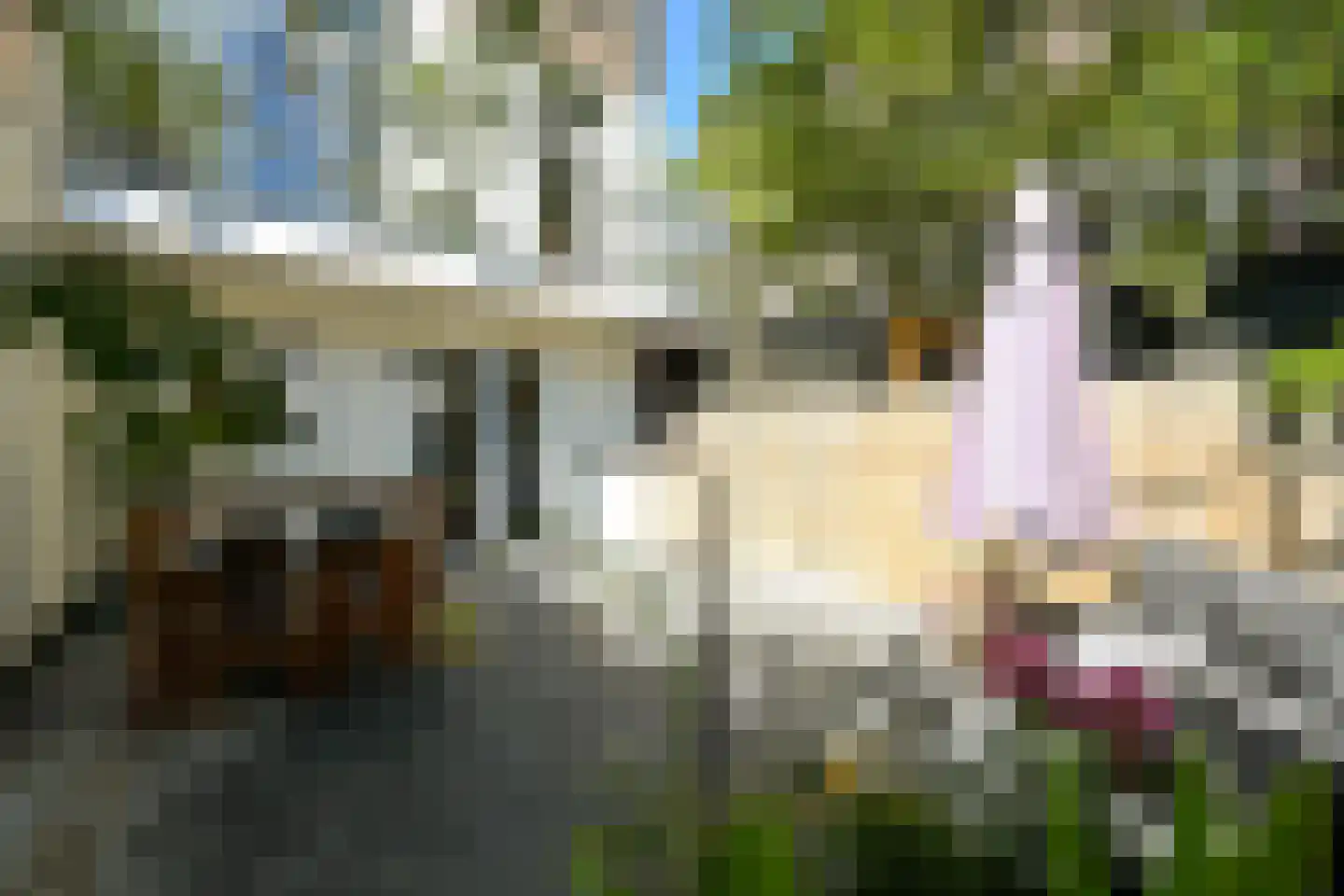Jacob Catsstraat 8 Den Haag thumbnail 23