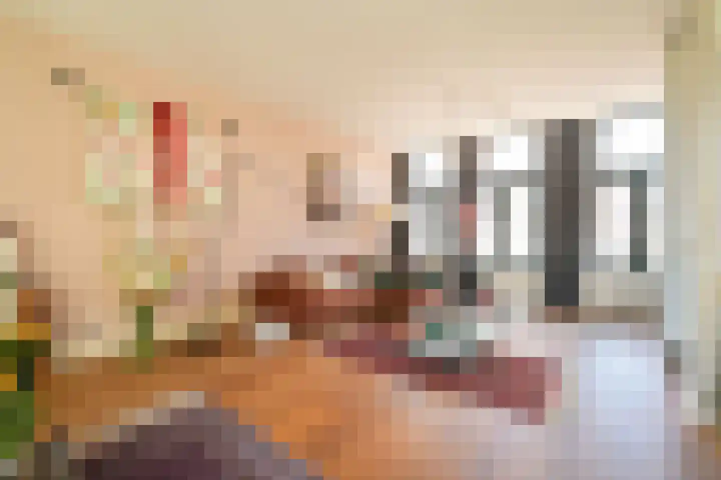 Jacob Catsstraat 8 Den Haag thumbnail 31
