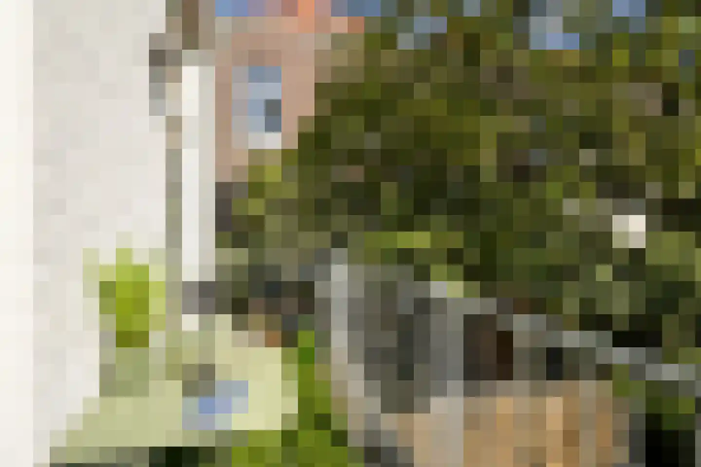 Jacob Catsstraat 8 Den Haag thumbnail 39