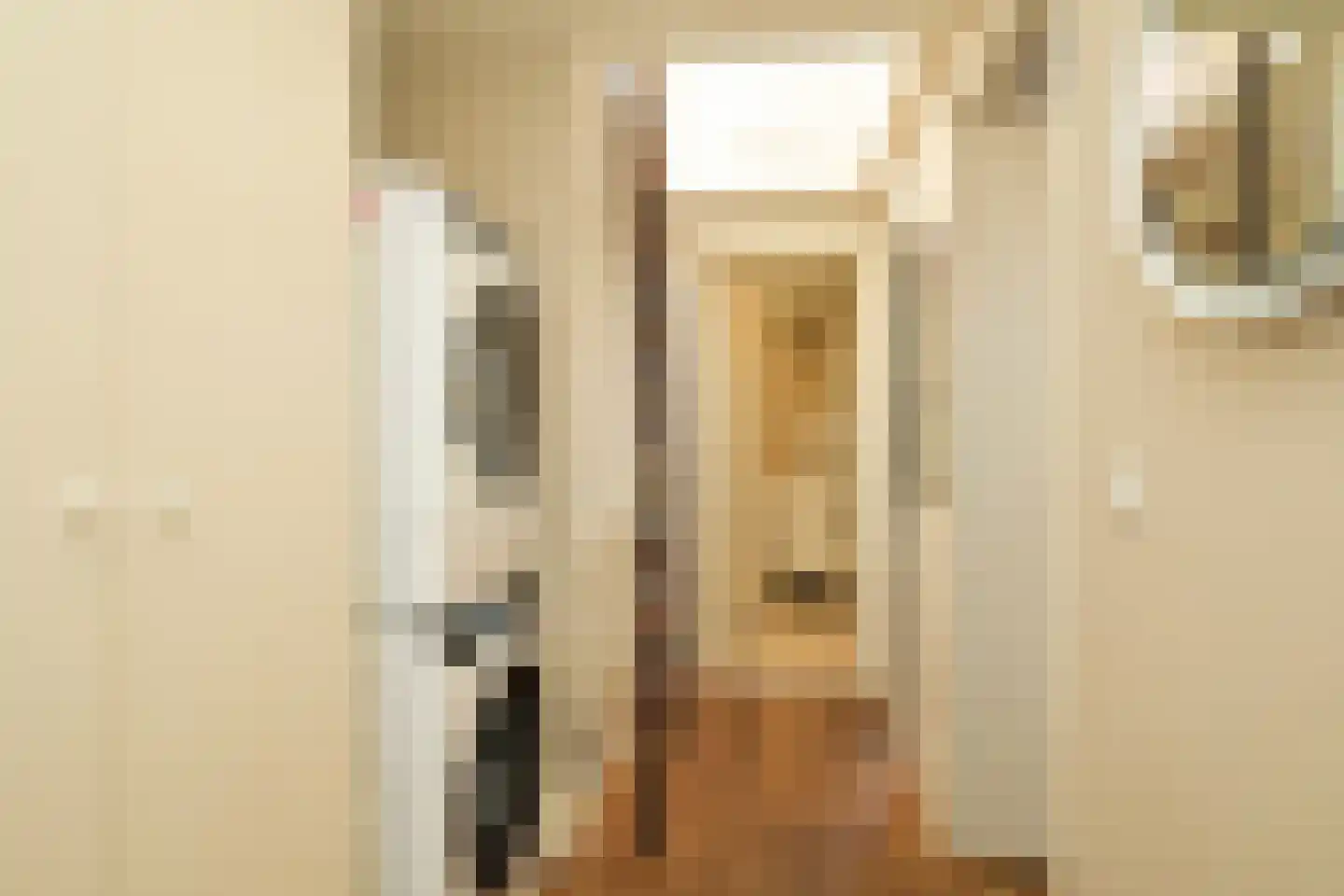 Jacob Catsstraat 8 Den Haag thumbnail 44