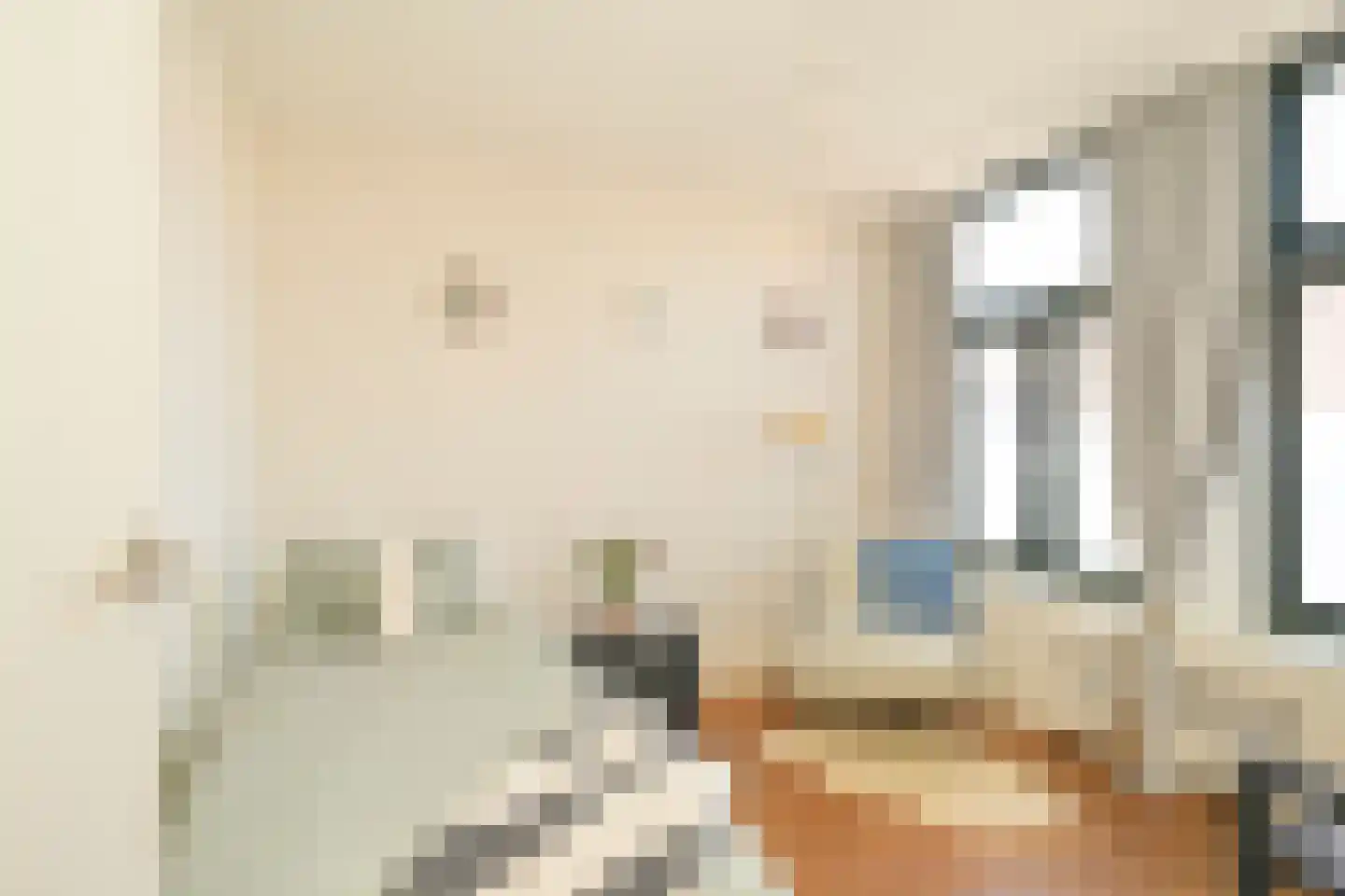 Jacob Catsstraat 8 Den Haag thumbnail 45