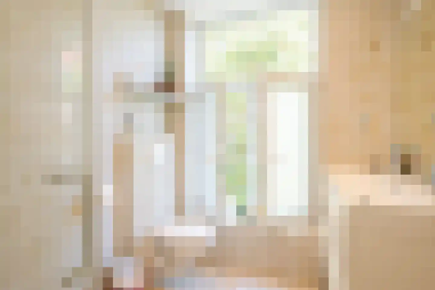 Jacob Catsstraat 8 Den Haag thumbnail 6