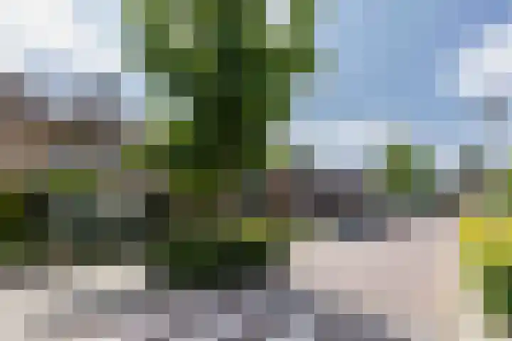 Jacob Catsstraat 8 Nuenen thumbnail 10