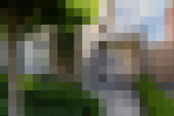 Jacob Catsstraat 8 Nuenen thumbnail 12