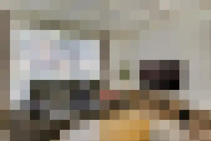 Jacob Catsstraat 8 Nuenen thumbnail 20