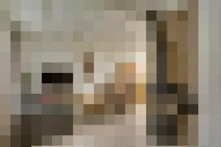 Jacob Catsstraat 8 Nuenen thumbnail 21