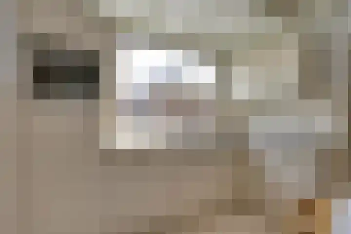 Jacob Catsstraat 8 Nuenen thumbnail 23