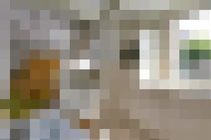 Jacob Catsstraat 8 Nuenen thumbnail 4