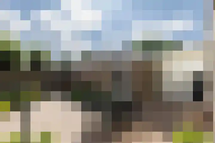 Jacob Catsstraat 8 Nuenen thumbnail 45