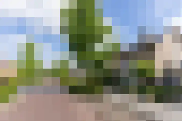 Jacob Catsstraat 8 Nuenen thumbnail 9