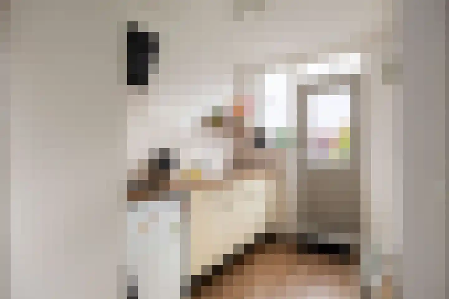 Jacob Catsstraat 83 Groningen thumbnail 23