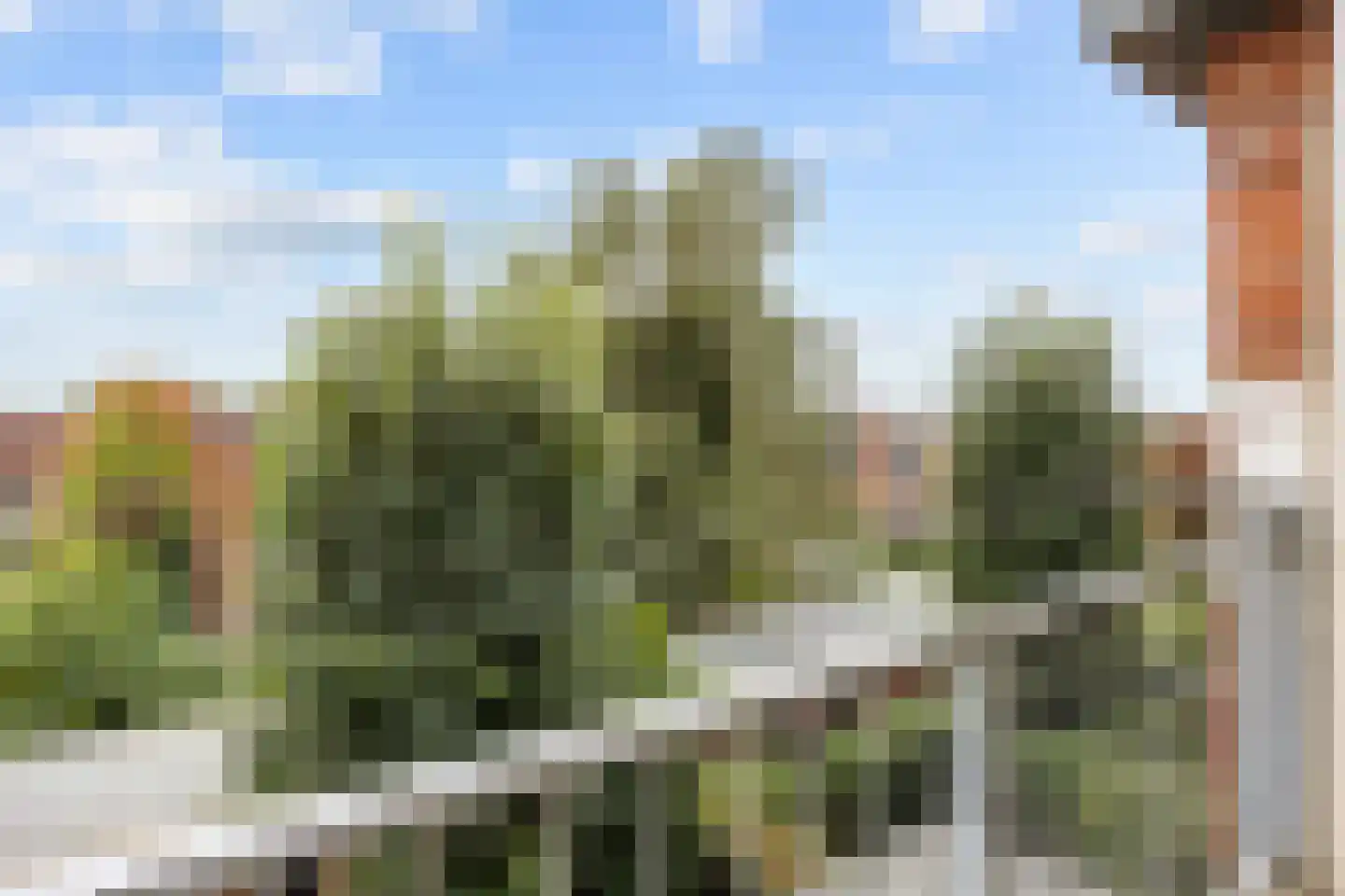 Jacob Catsstraat 83 Groningen thumbnail 27