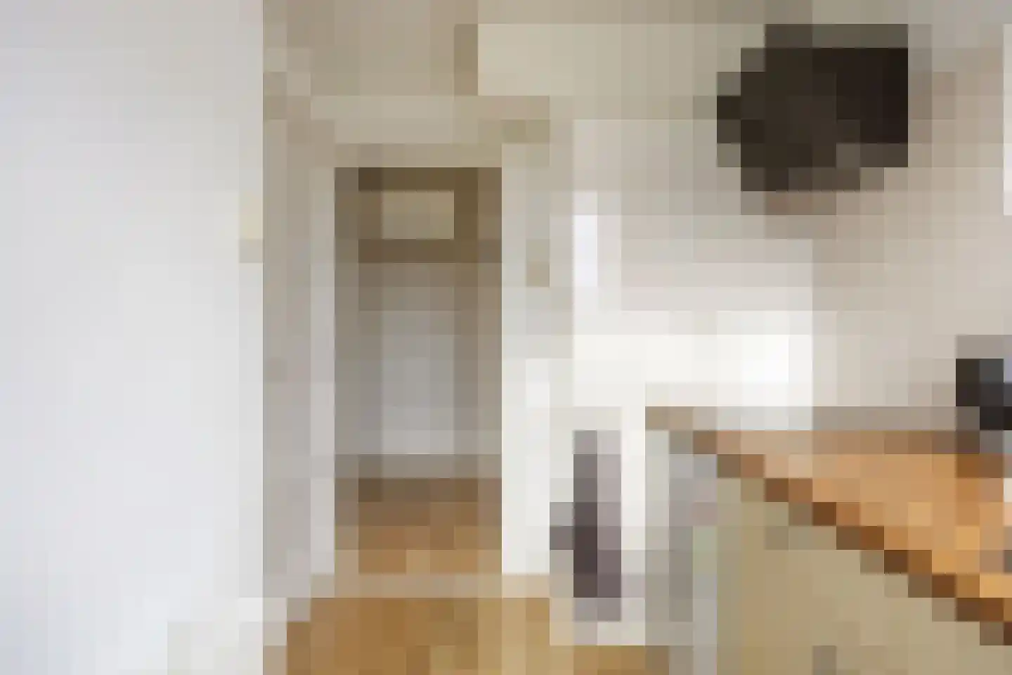 Jacob Catsstraat 83 Groningen thumbnail 29