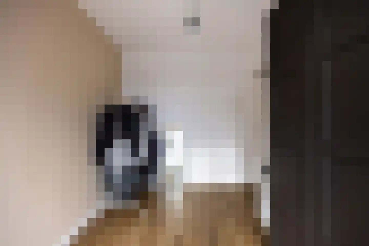 Jacob Catsstraat 83 Groningen thumbnail 32
