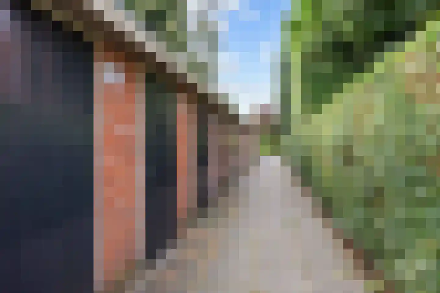 Jacob Catsstraat 83 Groningen thumbnail 34