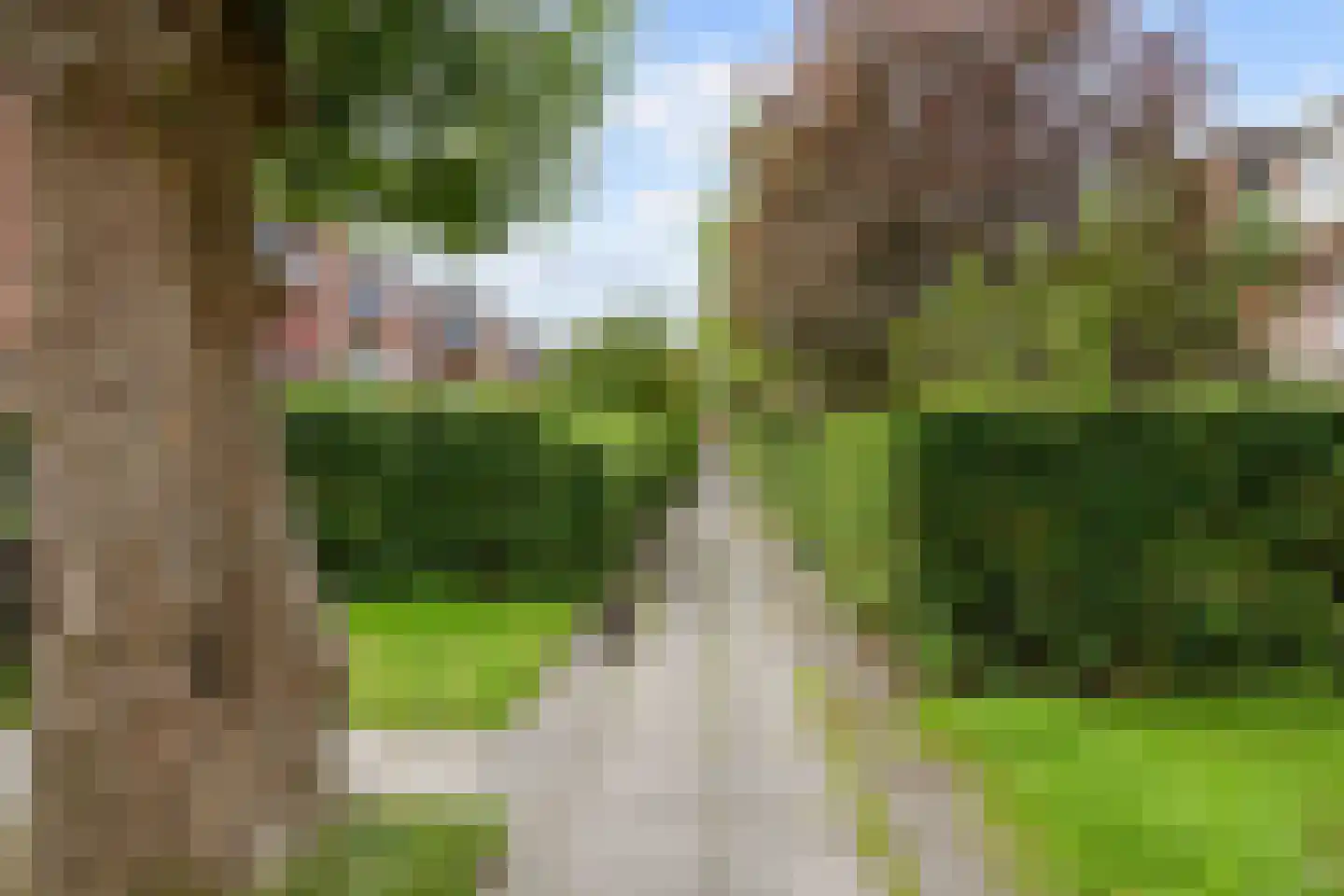 Jacob Catsstraat 83 Groningen thumbnail 35