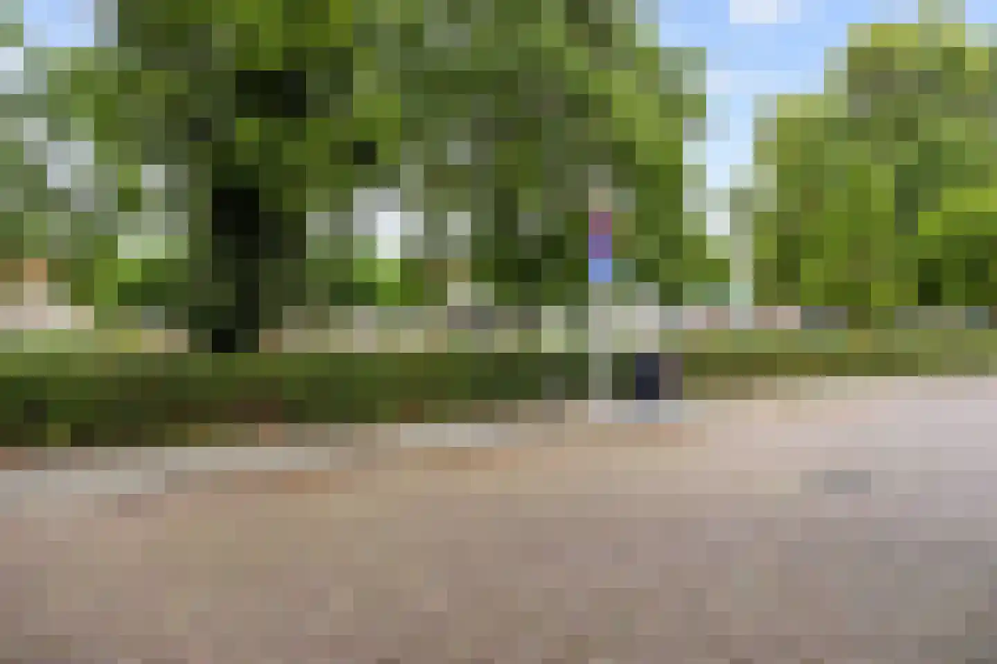 Jacob Catsstraat 83 Groningen thumbnail 38