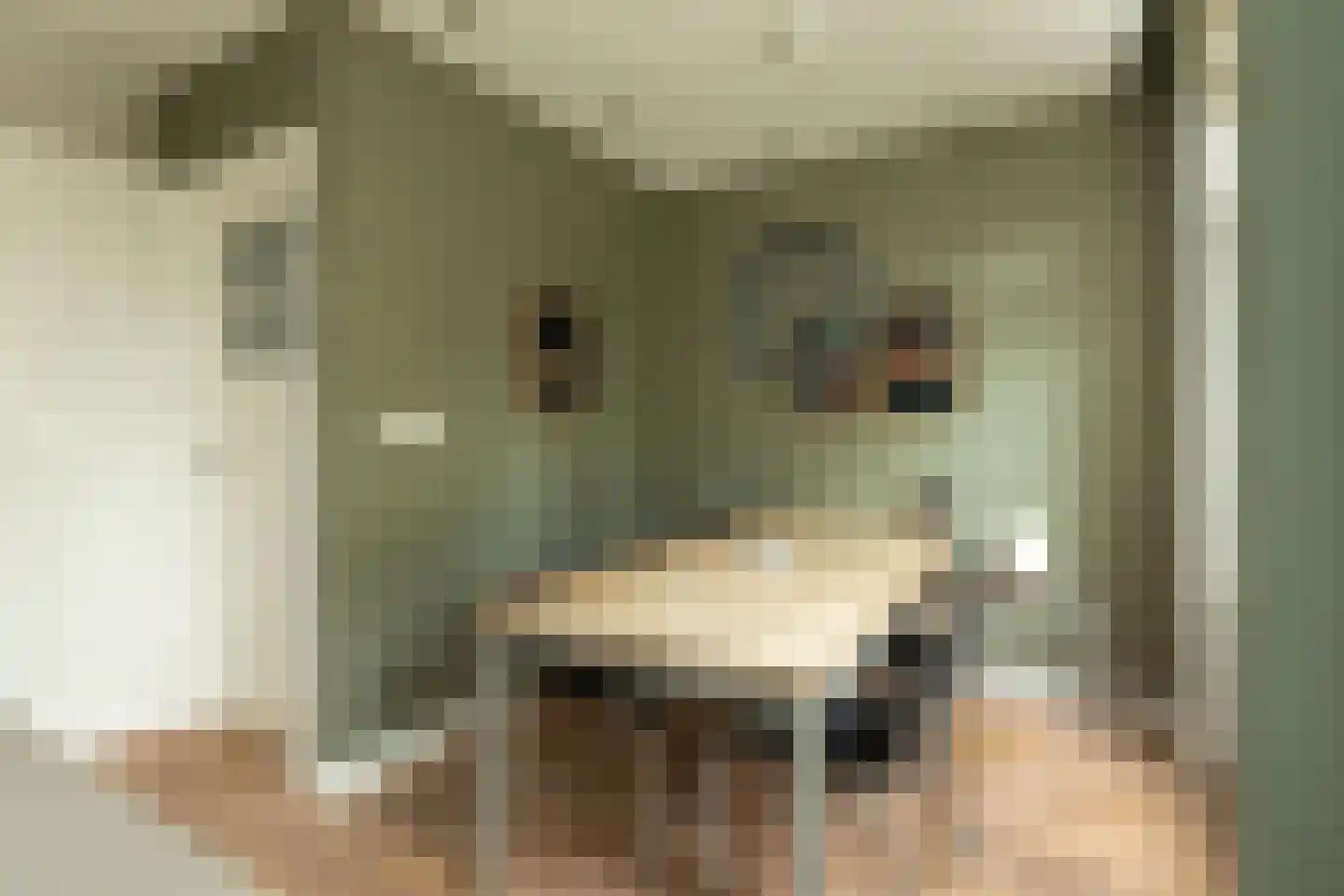 Jacob Catsstraat 86 Hilversum thumbnail 12