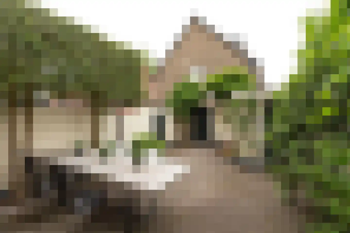 Jacob Catsstraat 86 Hilversum thumbnail 25