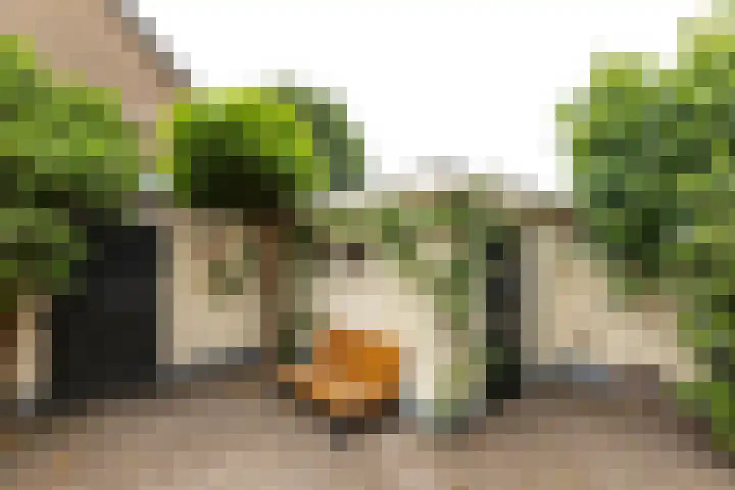 Jacob Catsstraat 86 Hilversum thumbnail 26