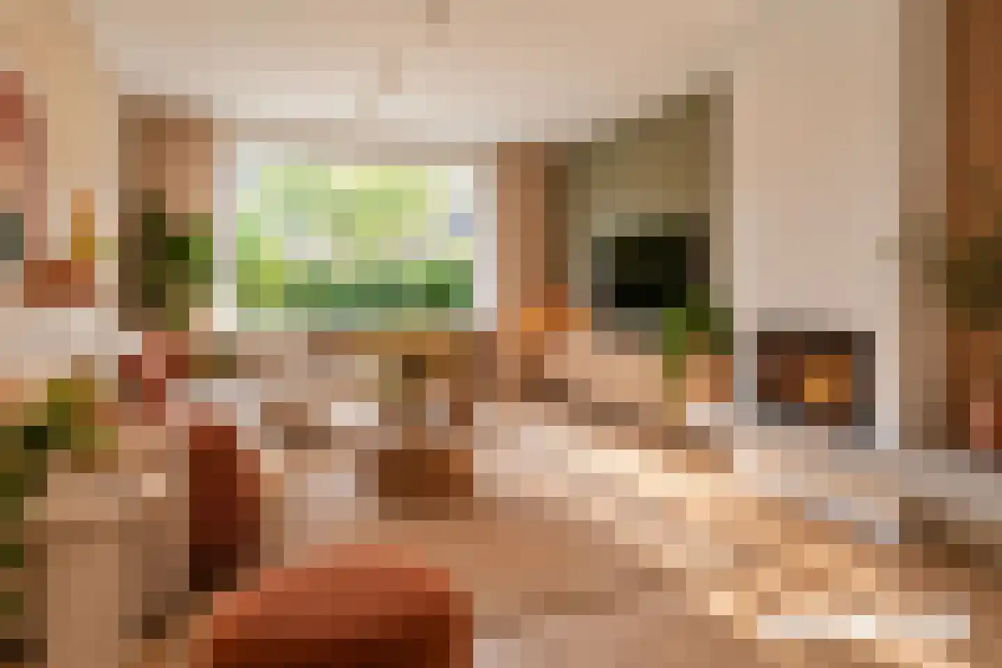 Jacob Catsstraat 9 Alphen aan den Rijn thumbnail 11