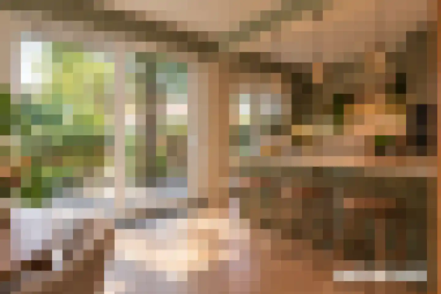Jacob Catsstraat 9 Alphen aan den Rijn thumbnail 16