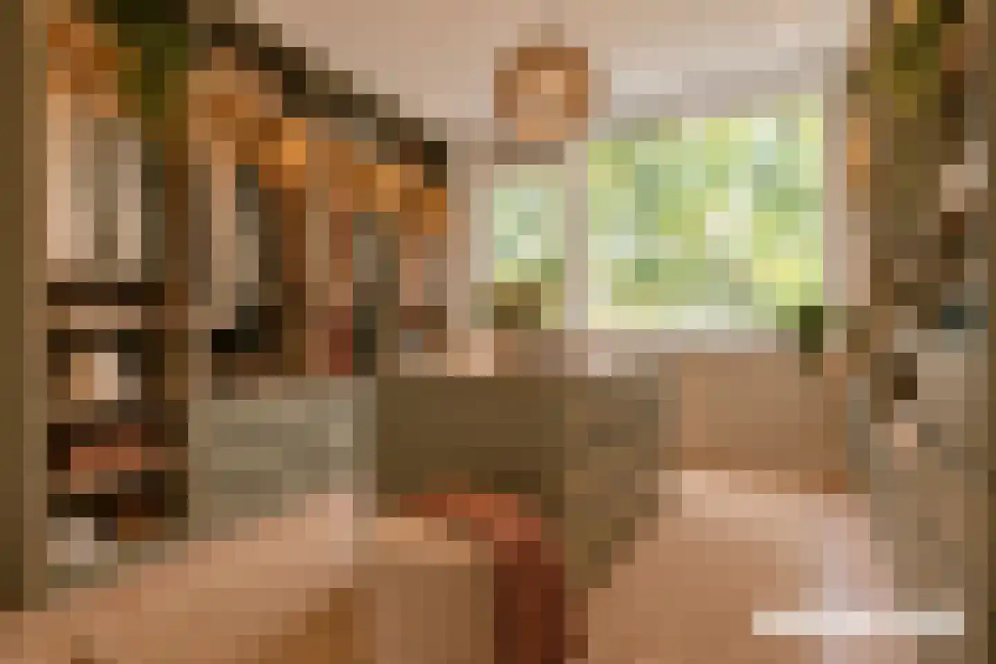 Jacob Catsstraat 9 Alphen aan den Rijn thumbnail 27