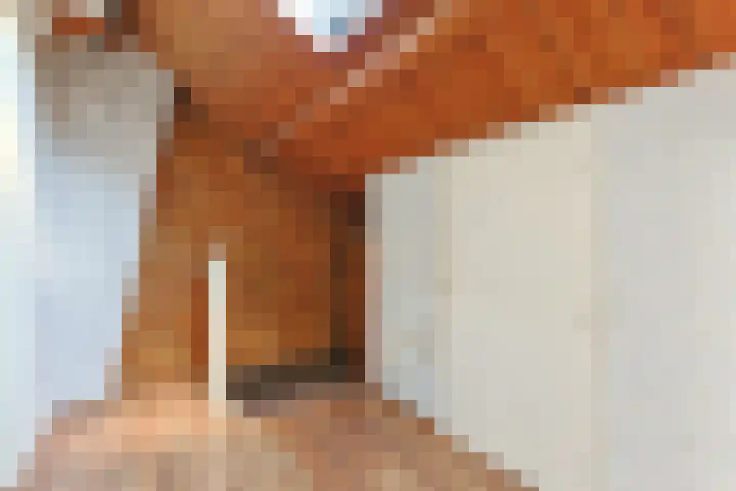 Jacob Catsstraat 9 Alphen aan den Rijn thumbnail 37