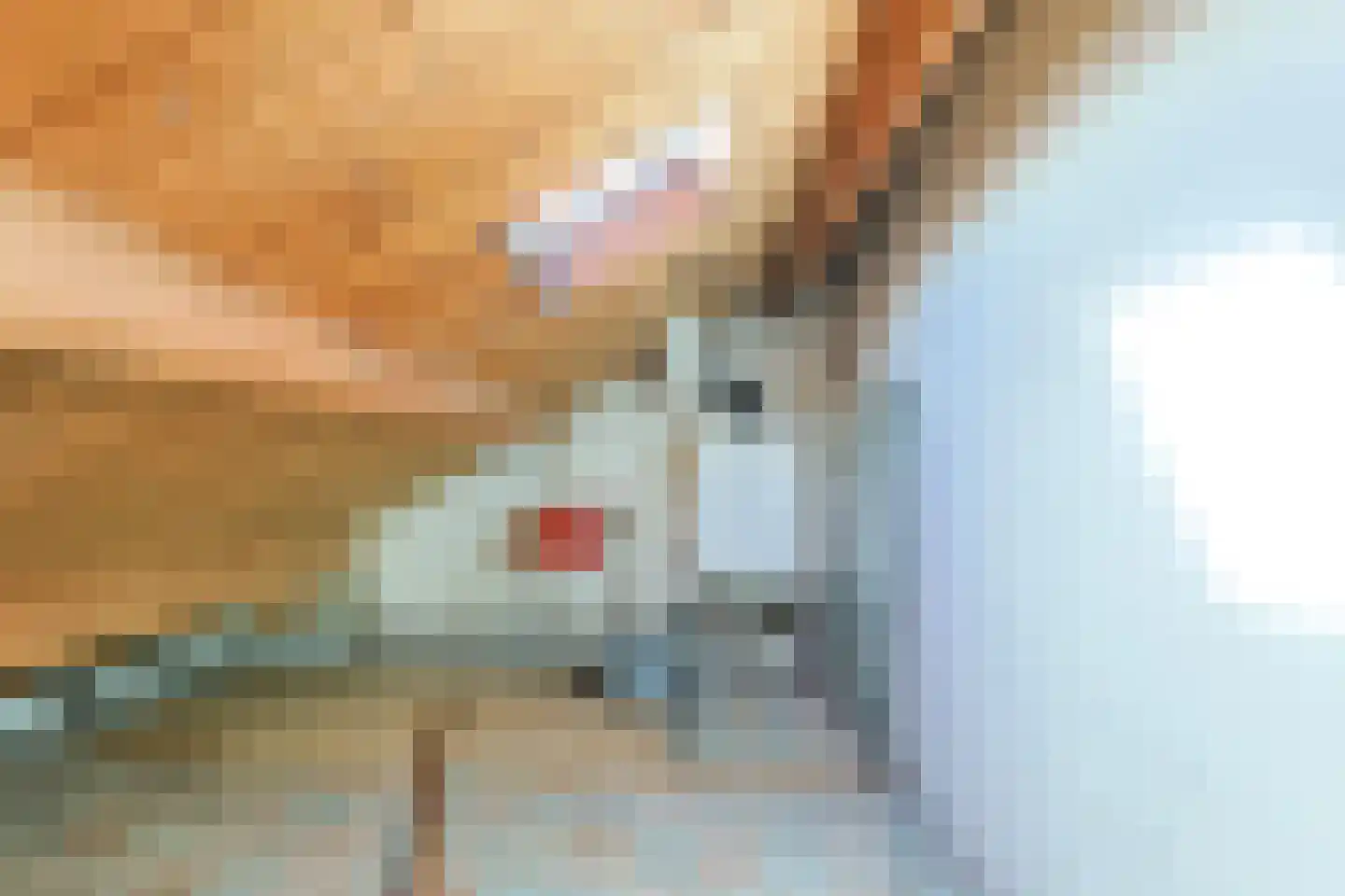 Jacob Catsstraat 9 Alphen aan den Rijn thumbnail 38