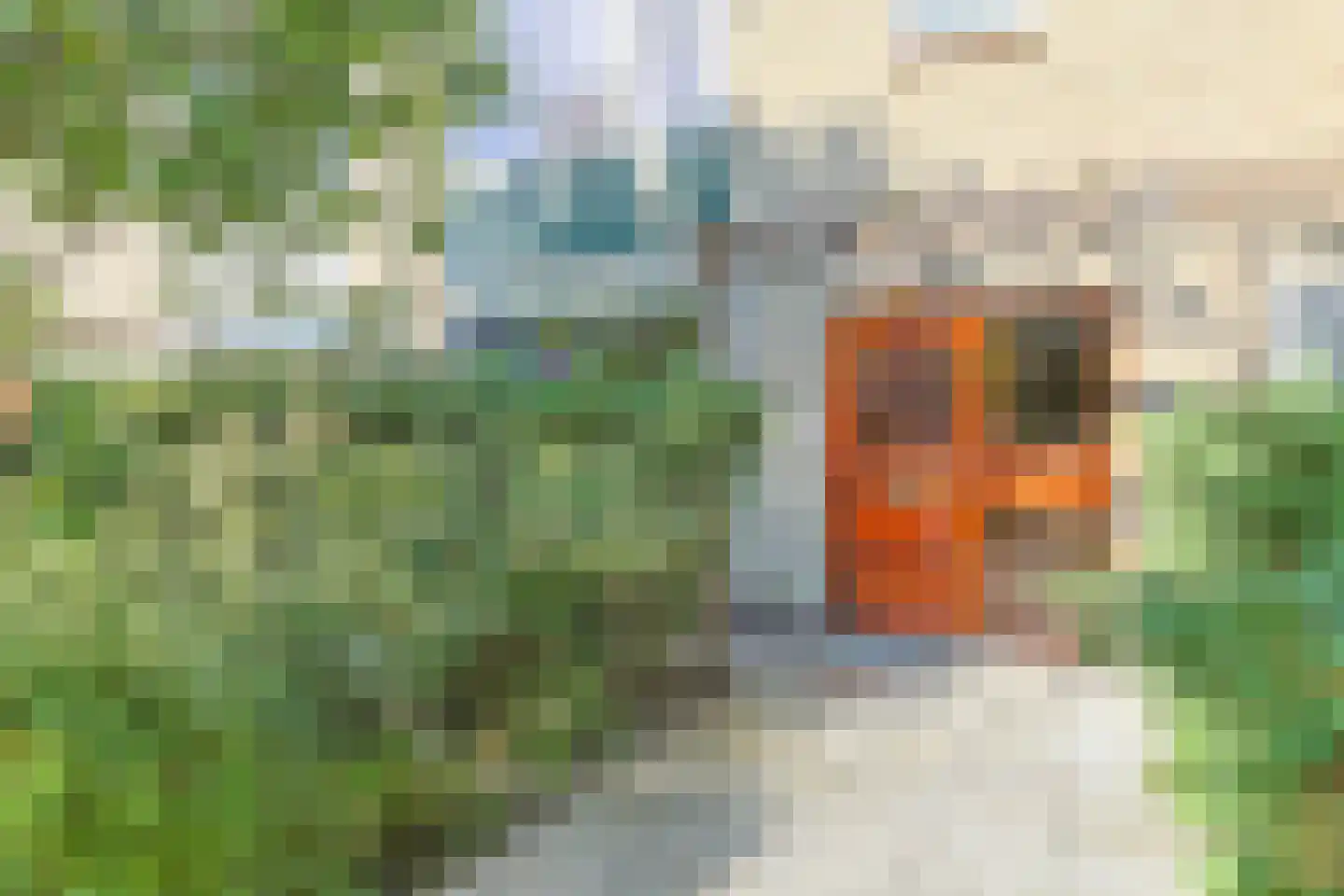 Jacob Catsstraat 9 Alphen aan den Rijn thumbnail 4